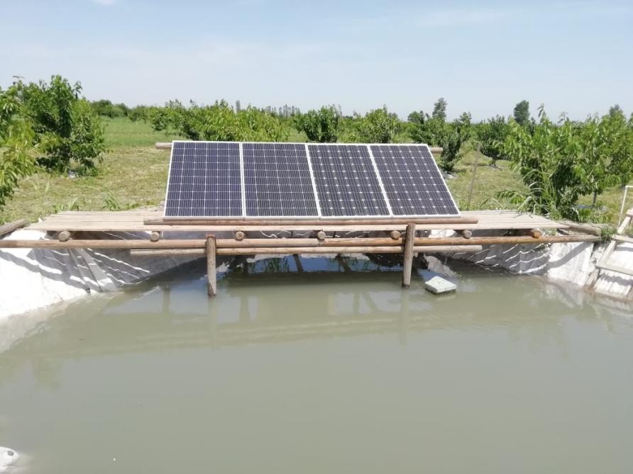 Qusarlı fermer meyvə bağının suvarılmasında alternativ enerjidən istifadə edir