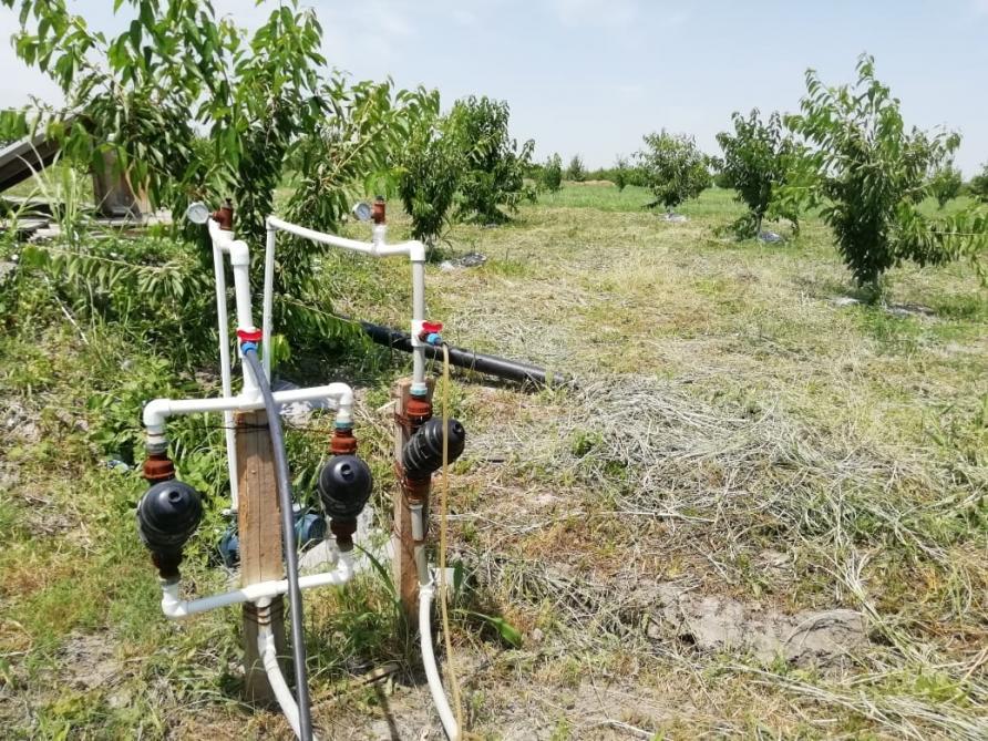 Qusarlı fermer meyvə bağının suvarılmasında alternativ enerjidən istifadə edir