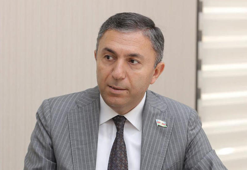 Таир Миркишили: Азербайджан может выйти с минимальными потерями из пандемического кризиса