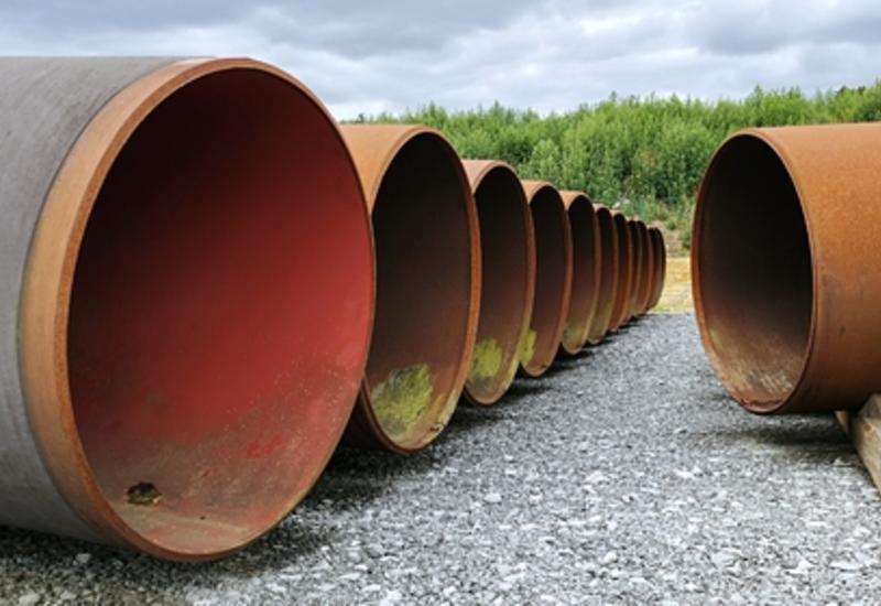 Строительству «Северного потока-2» помешала треска