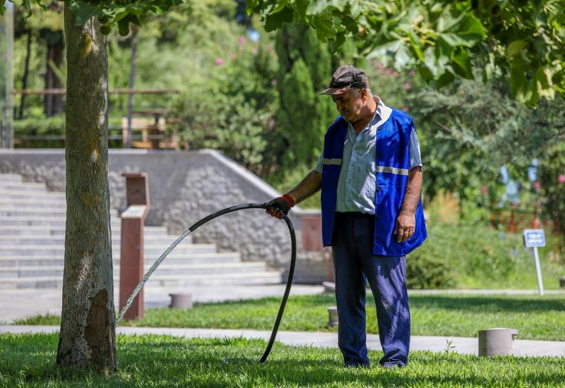 Обнародовано число привлеченных к оплачиваемым общественным работам