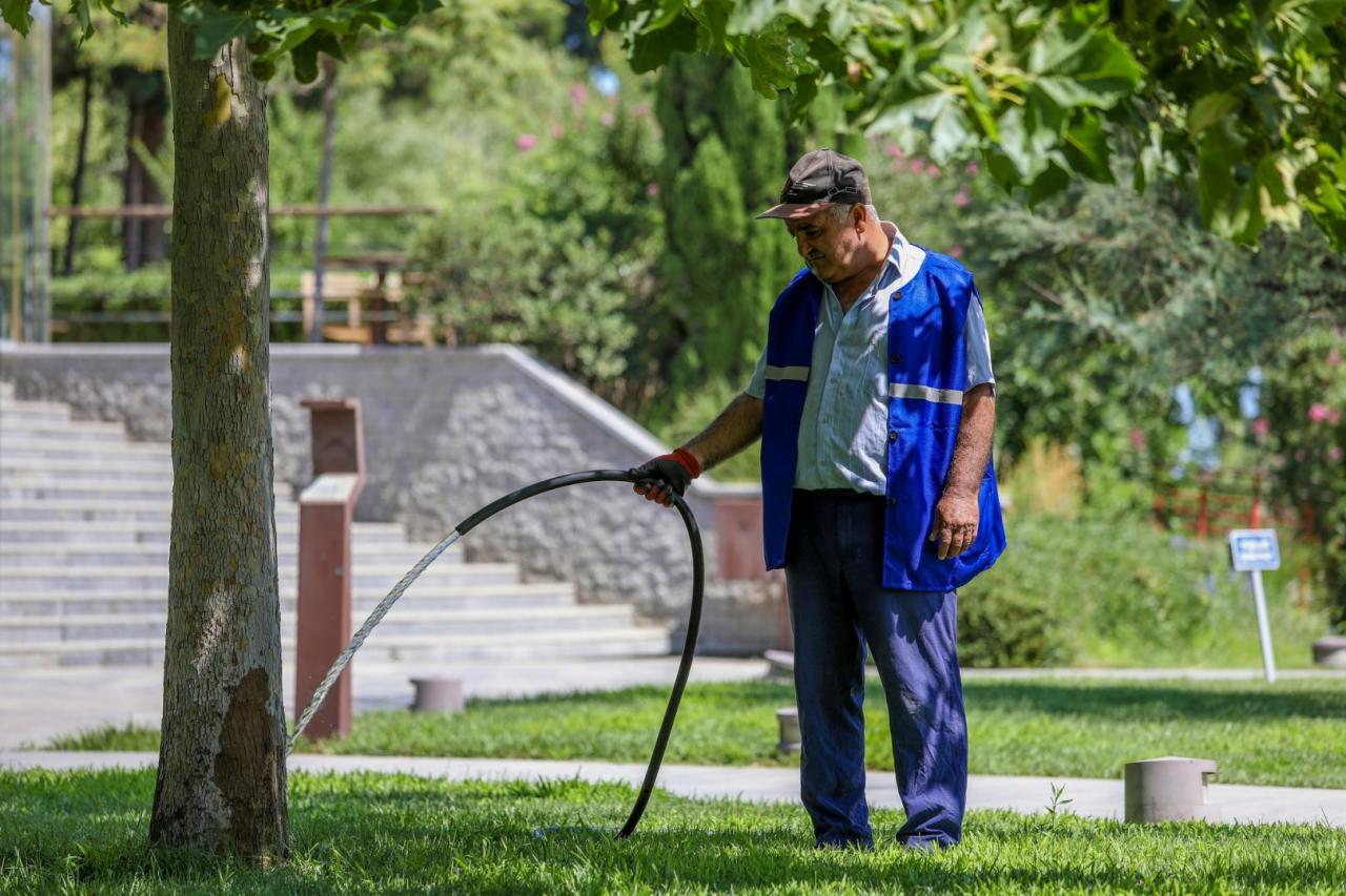 Обнародовано число привлеченных к оплачиваемым общественным работам