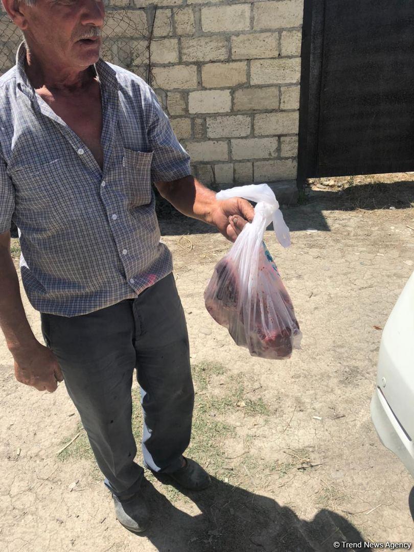 Deputat Sevil Mikayılovanın təşəbbüsü ilə Xudat sakinlərinə Qurban sovqatları paylanılıb