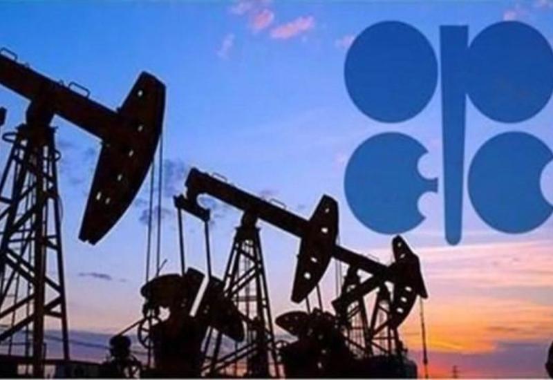 Стали известны планы ОПЕК+ на 2024 год