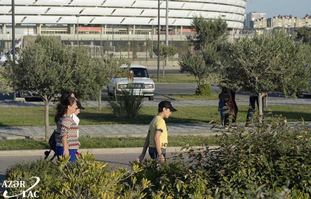 Böyükşor gölü tamamilə yeni görkəm alıb