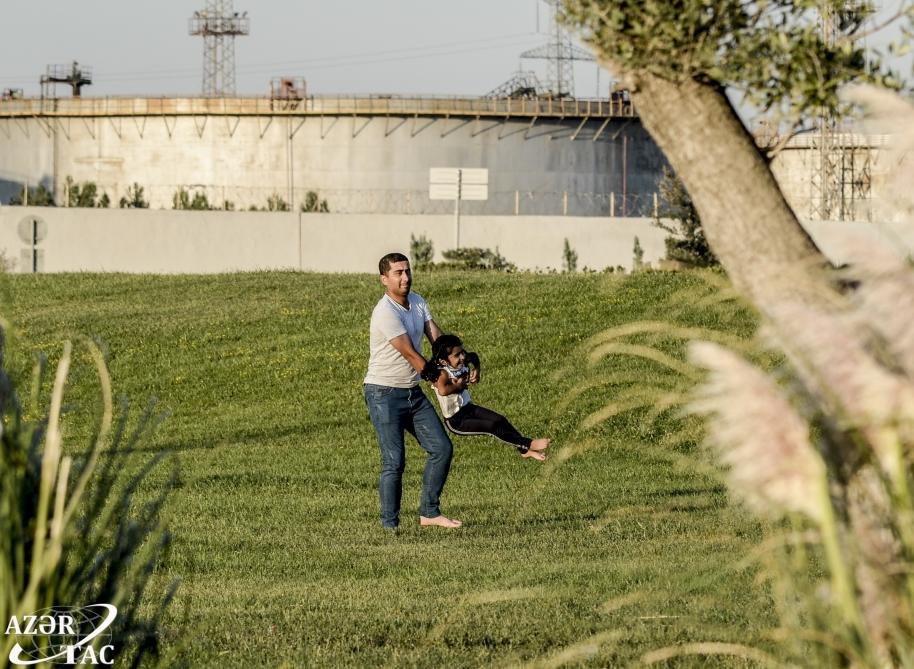 Böyükşor gölü tamamilə yeni görkəm alıb