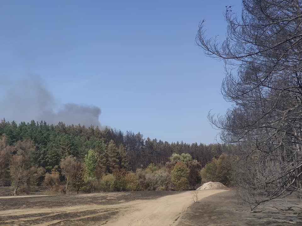 В Украине пожар уничтожил село