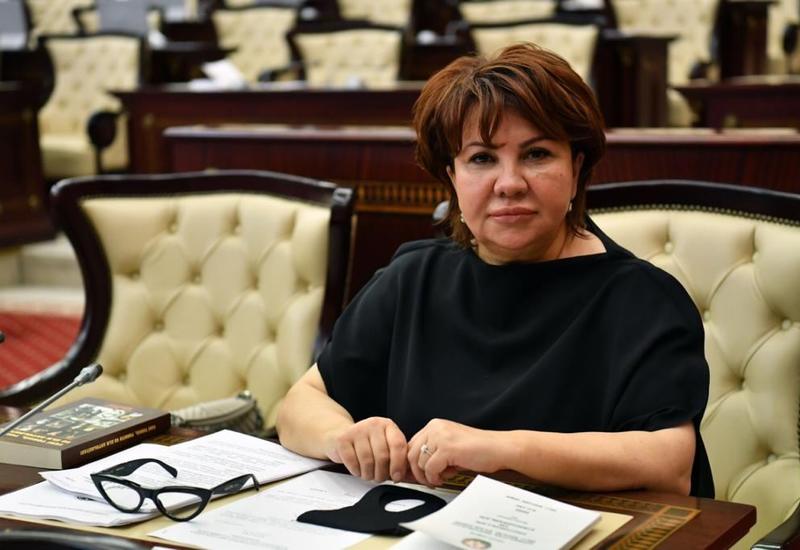 Vətən müharibəsində Zəfəri qəhrəman oğullarımızın canı və qanı bahasına qazandıq