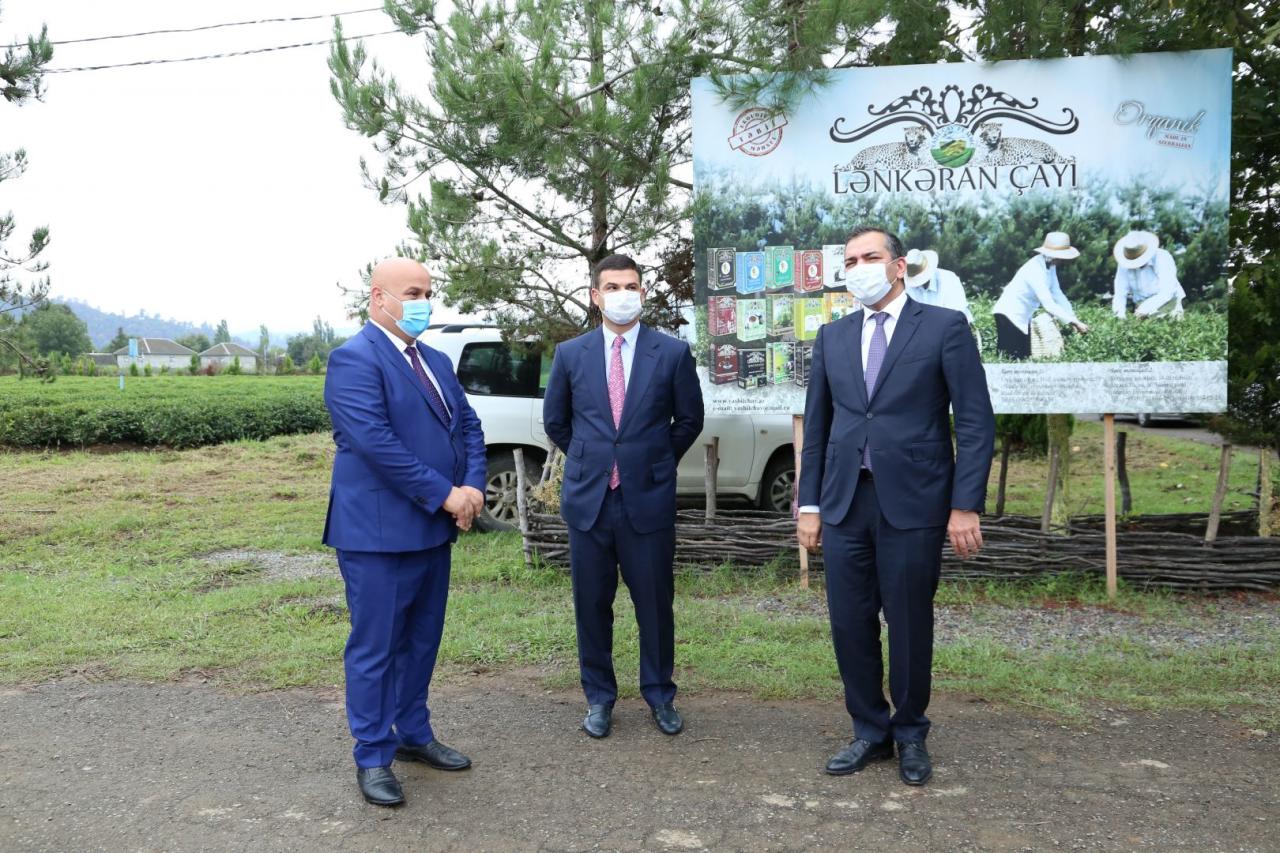 В Астаре открылся туристический комплекс