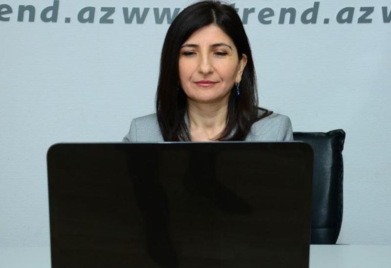 Депутат Севиль Микаилова провела очередной онлайн-прием своих избирателей