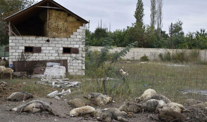 Армения продолжает обстреливать мирное население, но местные жители, проявляя мужество, не покидают свои дома