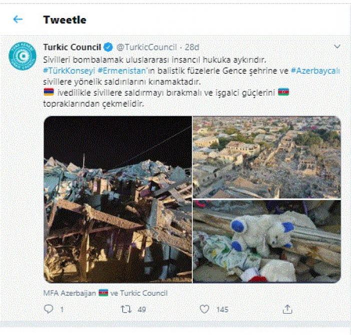 Тюркский совет призвал Армению вывести оккупационные силы с территории Азербайджана