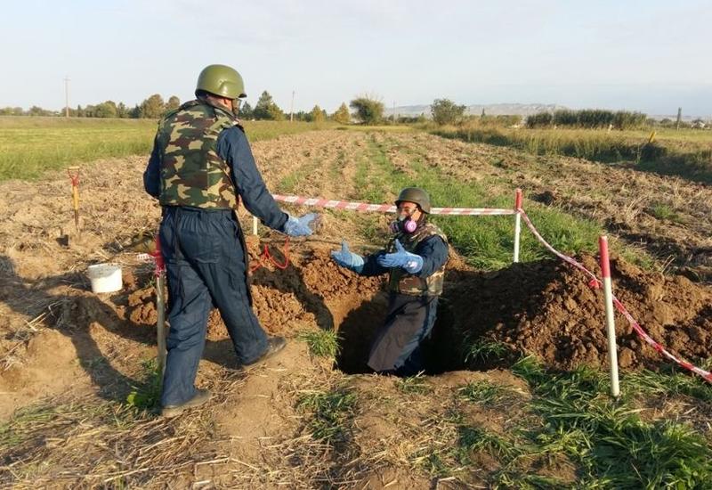 ANAMA: 200-ə yaxın partlamamış mərmi, silah-sursat aşkar edilib