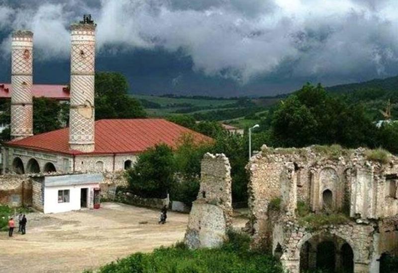 Армяне уничтожили редкие растения на оккупированных территориях Азербайджана