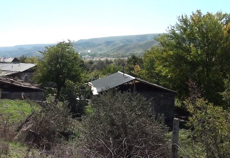 Экономические перспективы освобожденного Губадлы