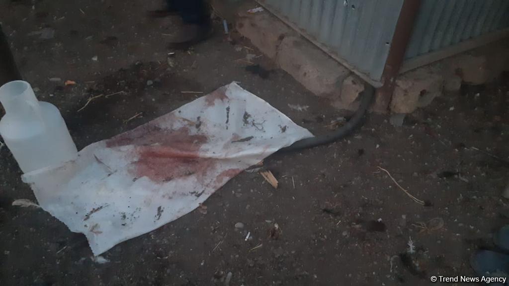 В результате армянского обстрела Барды серьезно пострадали 5 частных домов