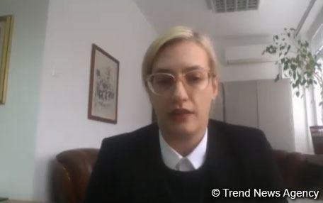 Эксперты из Азербайджана и Болгарии обсудили позицию Азербайджана в освободительной борьбе