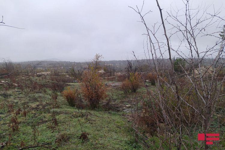 Армяне разрушили кладбище в городе Физули