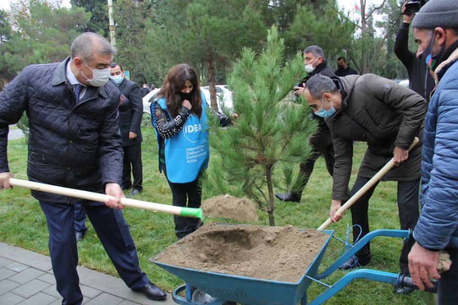 В рамках проекта «Наш двор» благоустроены первые за пределами Баку дворы