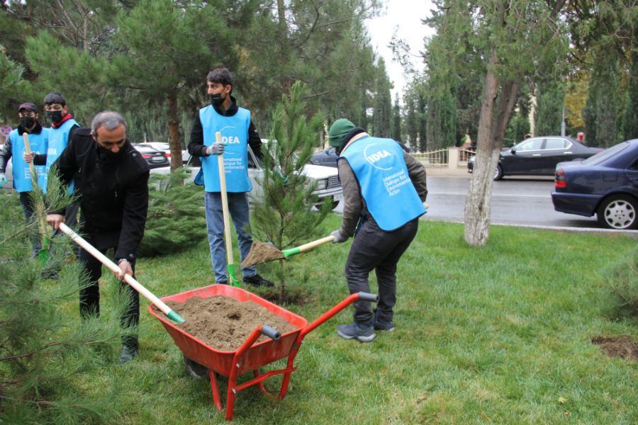 В рамках проекта «Наш двор» благоустроены первые за пределами Баку дворы