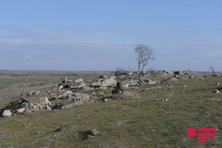 Армяне разрушили и засеяли пшеницей кладбище в селе Кюрдлер Физулинского района