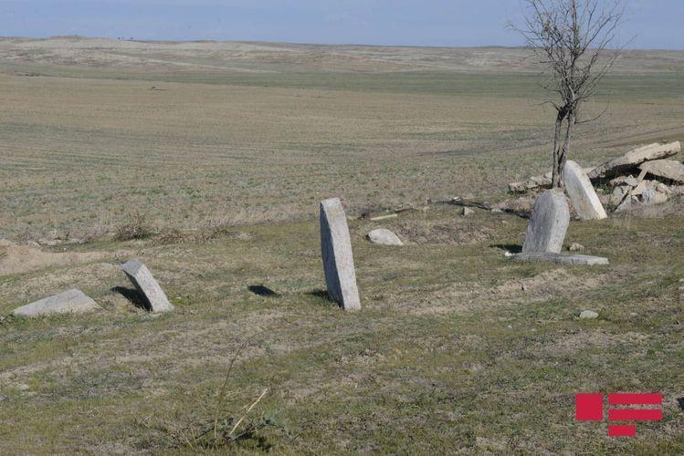 Армяне разрушили и засеяли пшеницей кладбище в селе Кюрдлер Физулинского района