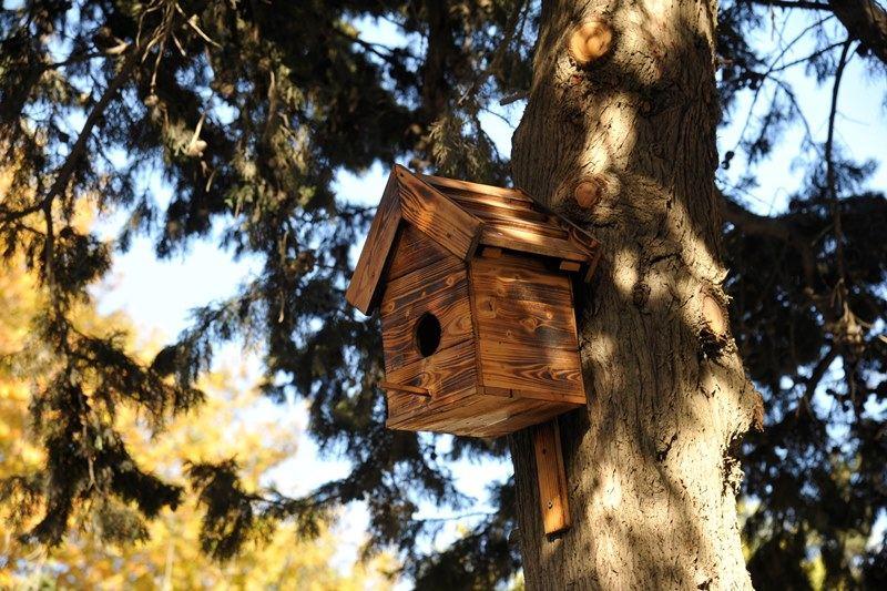 В рамках проекта «Наш двор» в Баку благоустроен очередной двор