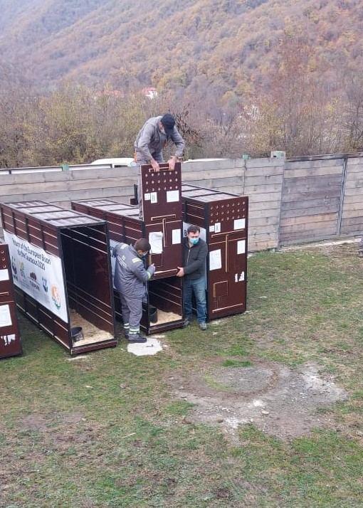 В Азербайджан привезли еще пять зубров