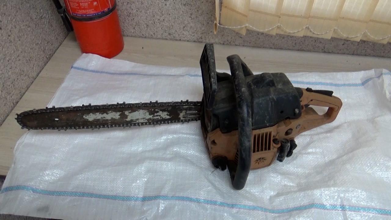 В Азербайджане задержали членов группировки, вырубающей ценные виды деревьев