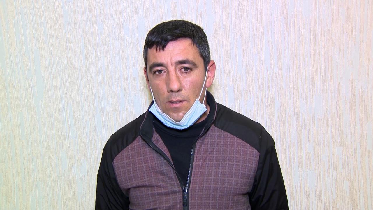 В Азербайджане задержали членов группировки, вырубающей ценные виды деревьев