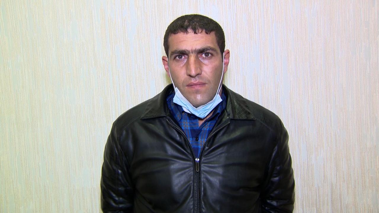 В Азербайджане задержали членов группировки, вырубающей ценные виды деревьев
