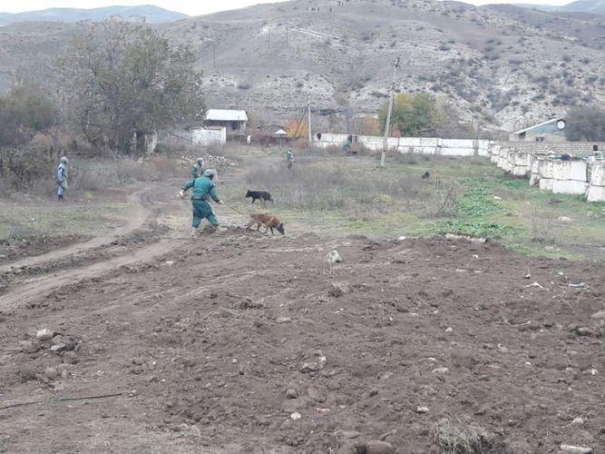 Завершено разминирование участка строящейся дороги Тертер-Суговушан