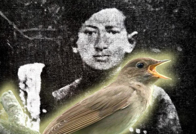 История соловья из Шуши: как Муртуза Мамедов стал Бюль-Бюлем