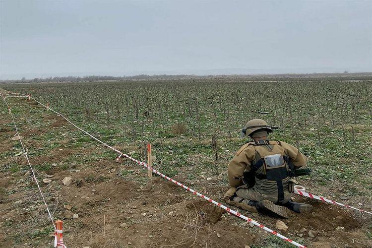 В Карабахе продолжается процесс разминирования