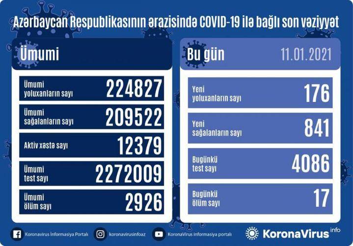 В Азербайджане выявлено еще 176 случаев заражения коронавирусом,
