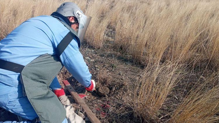 На прифронтовых территориях Азербайджана обнаружено 270 неразорвавшихся боеприпасов