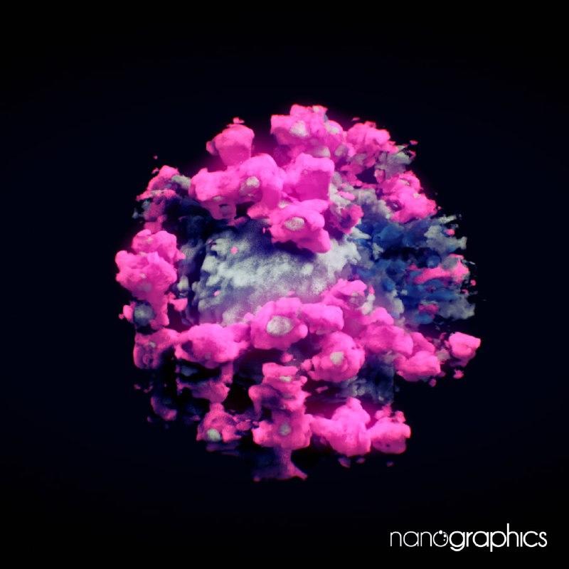 Первая на планете 3D-модель коронавируса