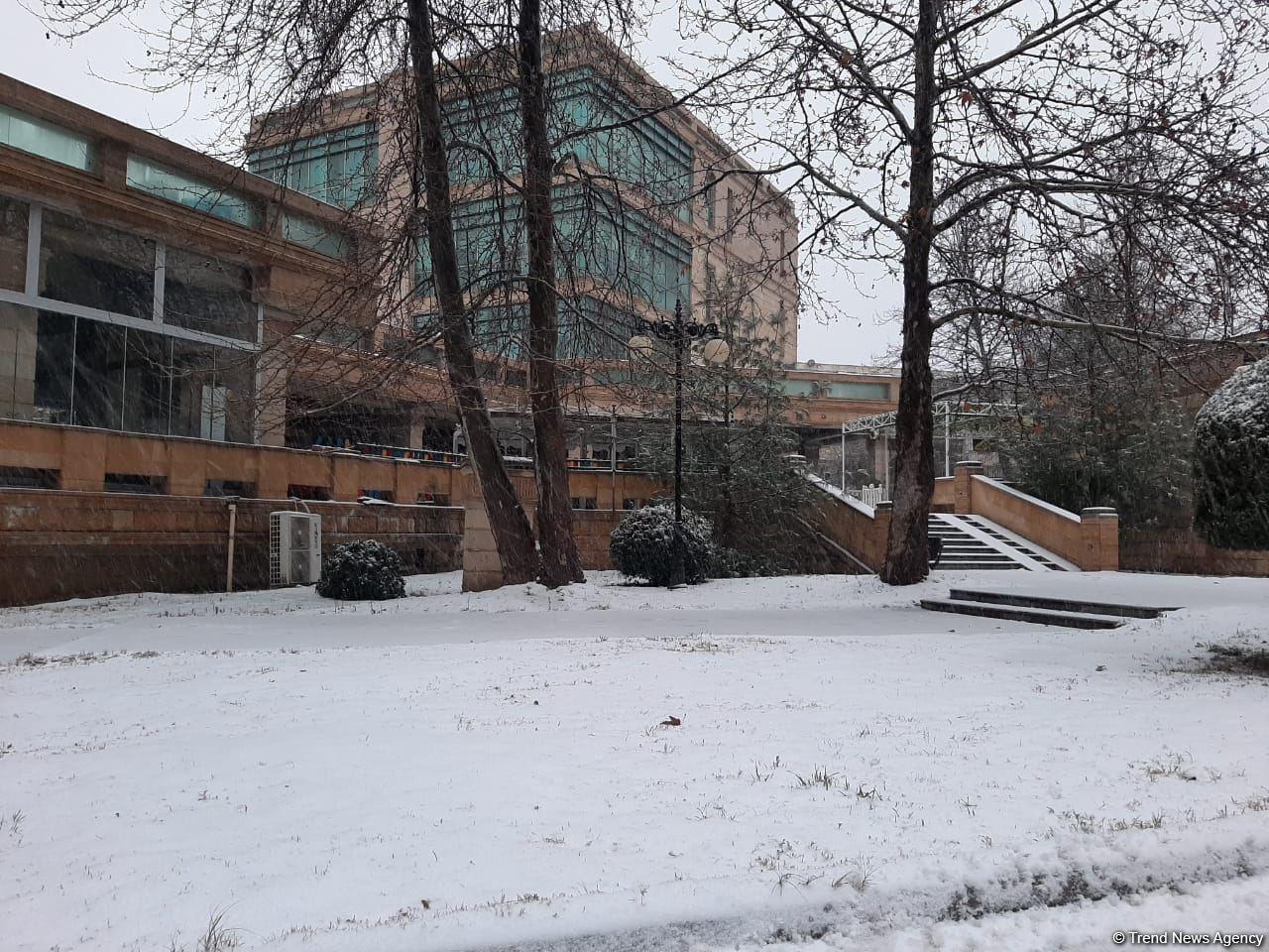 Первый снег в Баку