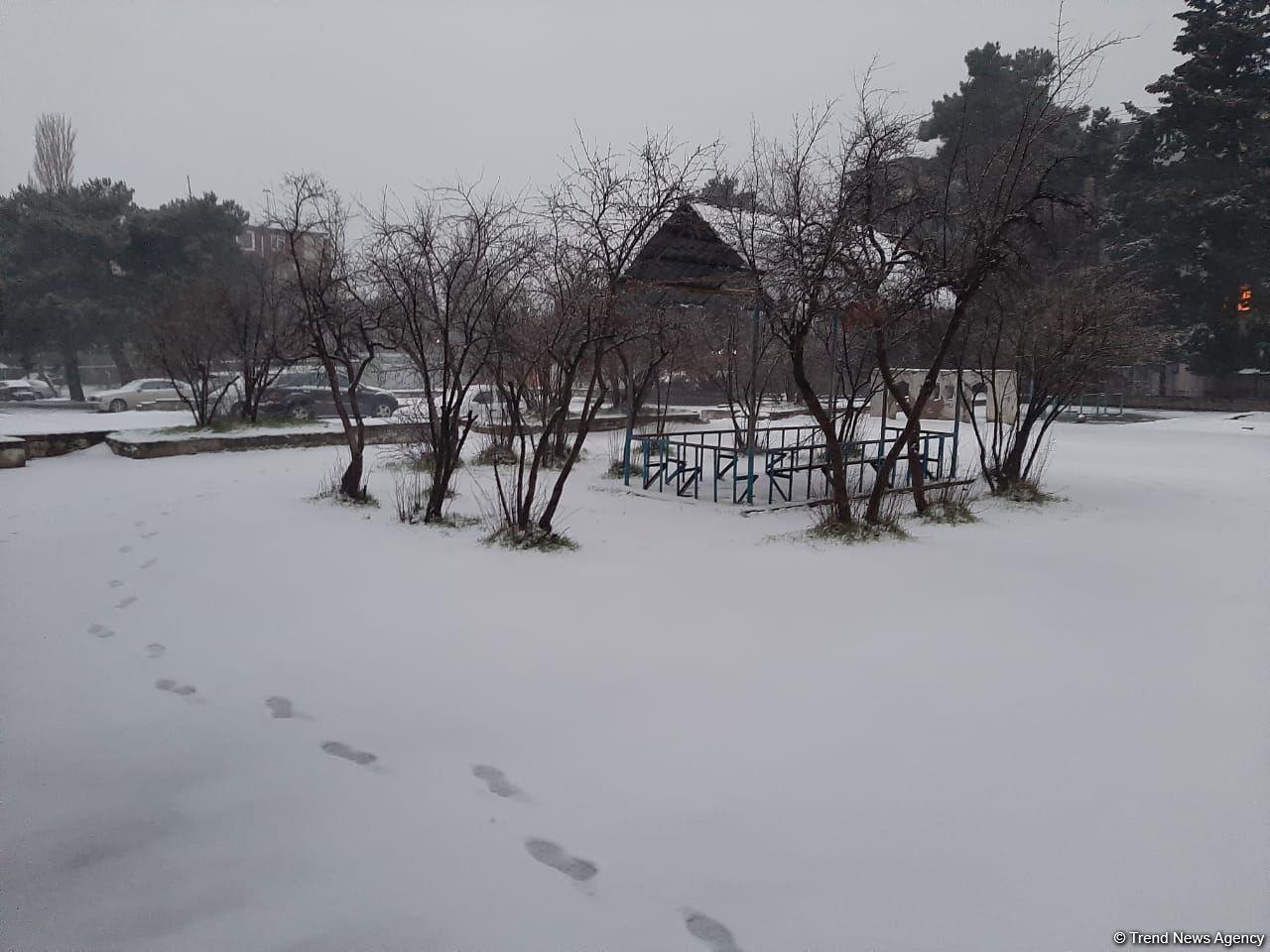 Первый снег в Баку