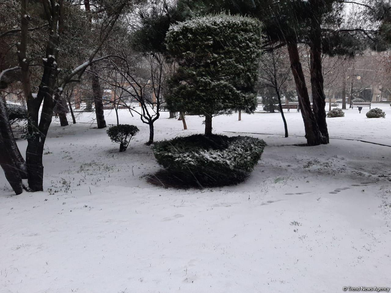 Первый снег в Баку