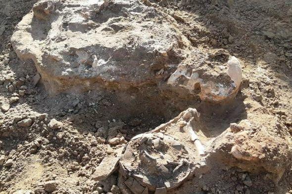 В "Кешикчидаге" обнаружены исторические памятники