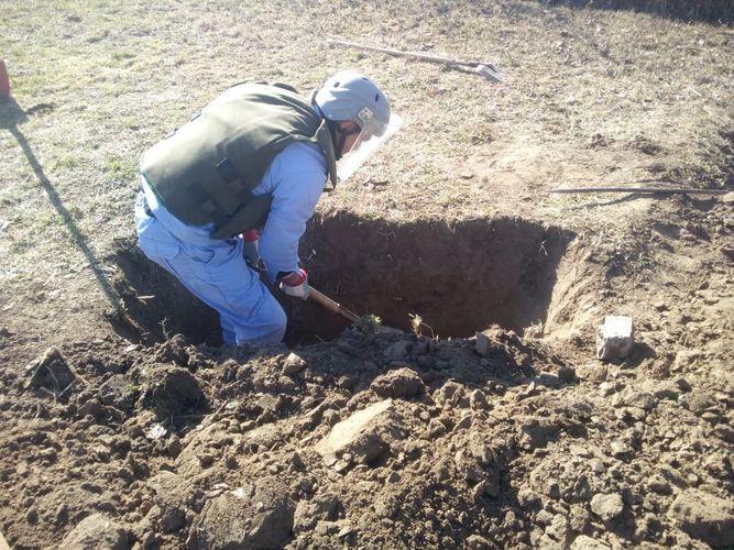 В прифронтовых районах обнаружены сотни неразорвавшихся боеприпасов