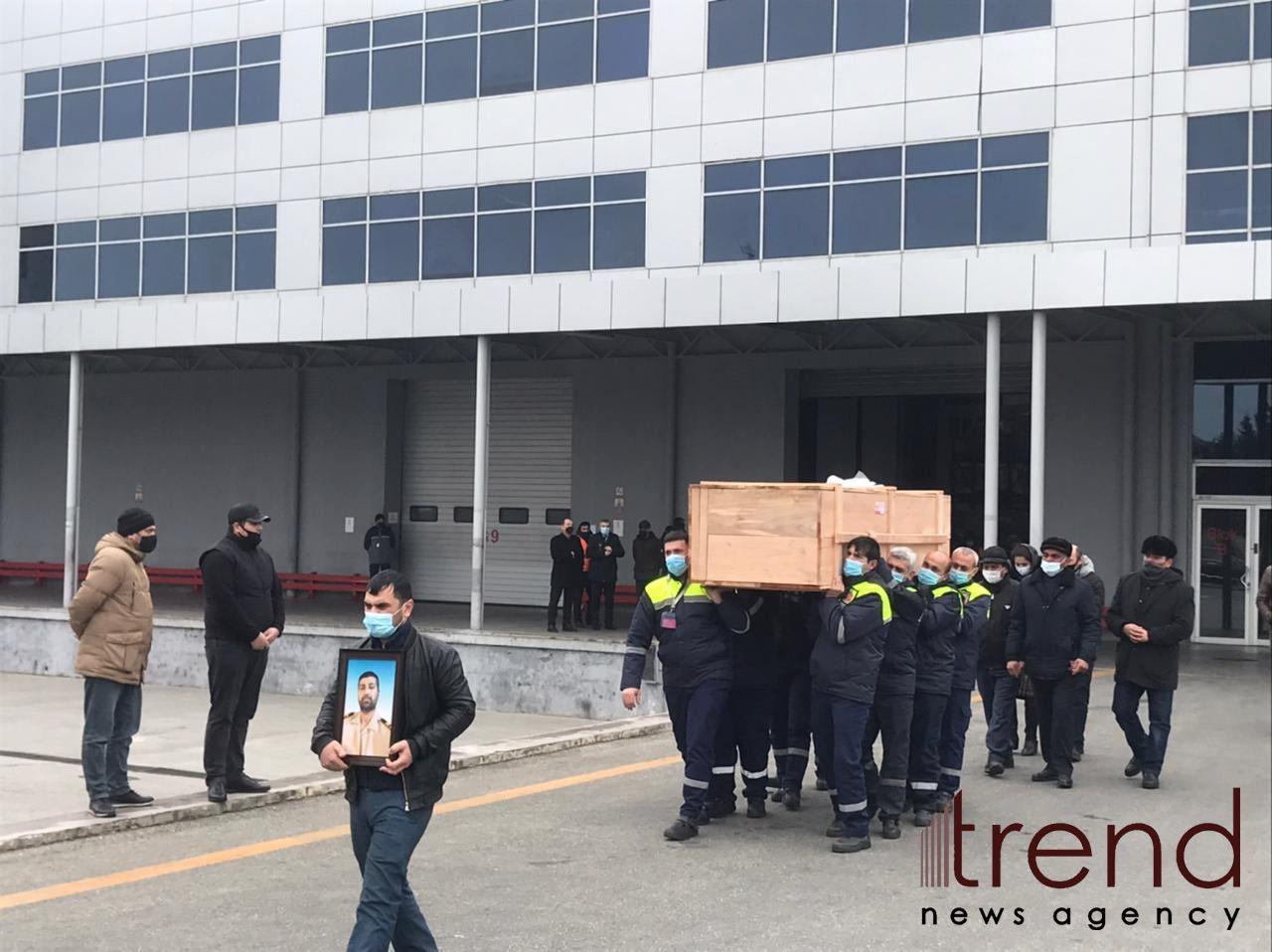 Тело убитого пиратами азербайджанца доставлено в Баку