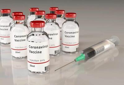 COVAX проявляет двойные стандарты в отношении Азербайджана - профессор Адиль Гейбулла для Day.Az