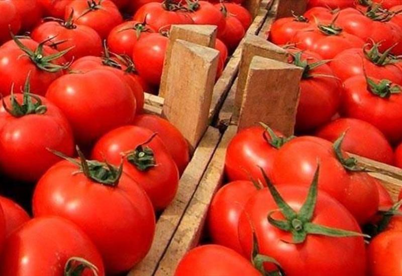 Россия возвратила в Азербайджан 50 тонн помидоров