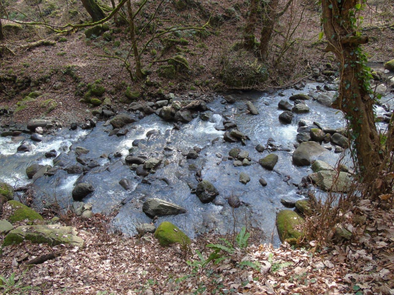 Вход в Гирканский национальный парк будет бесплатным