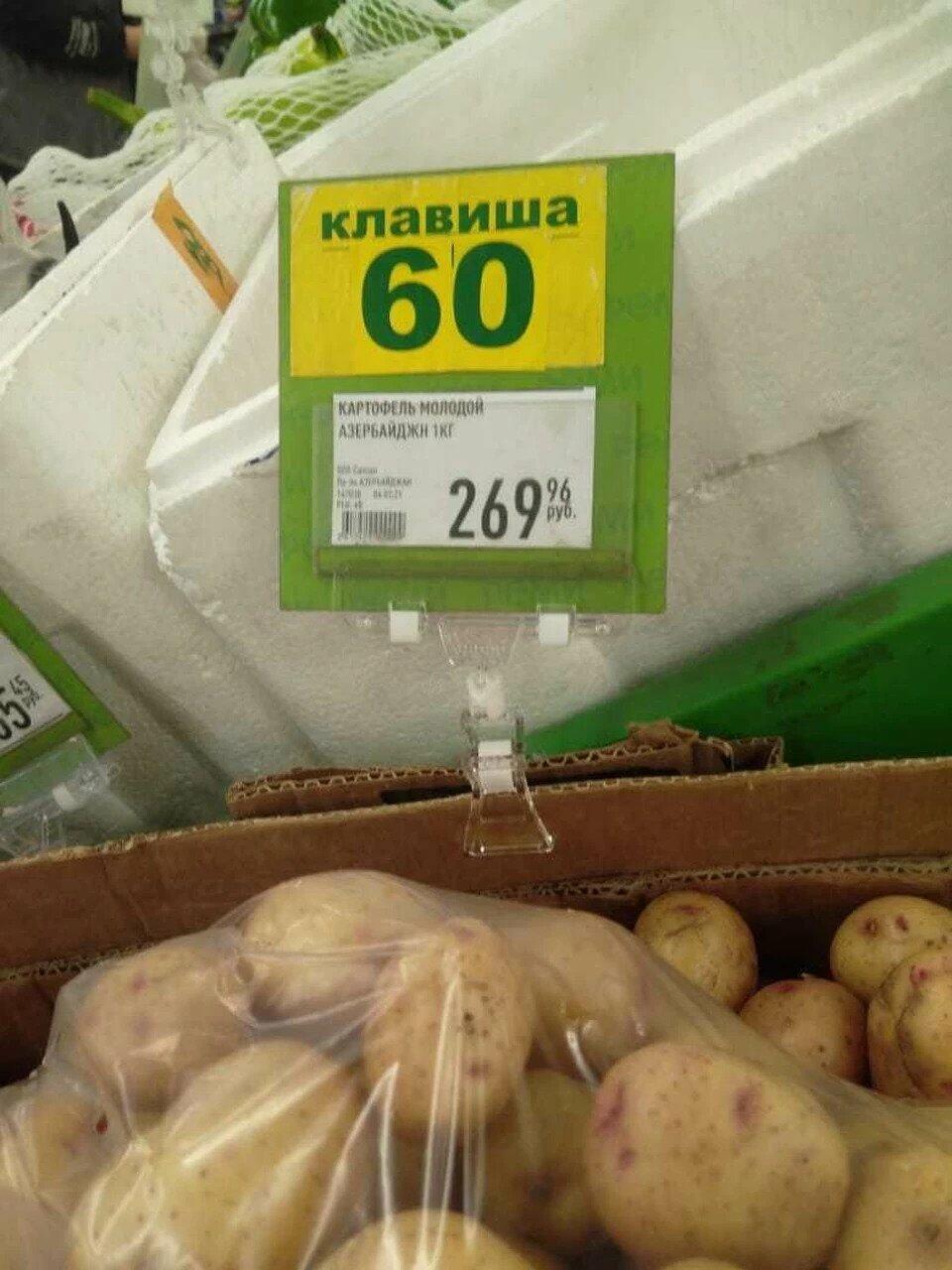 В России килограмм картофеля из Азербайджана стоит более 6 манатов