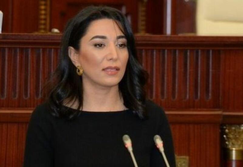 Омбудсмен представила доклад за 2020 год