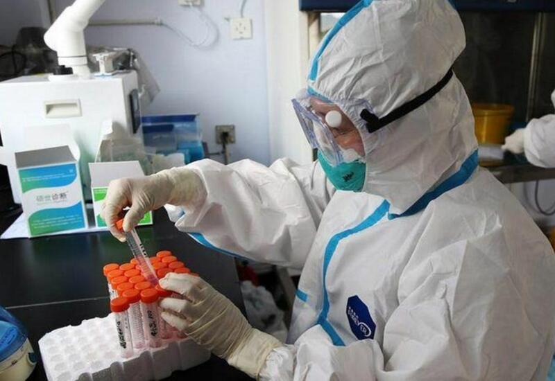 USAID финансировало разработку COVID-19