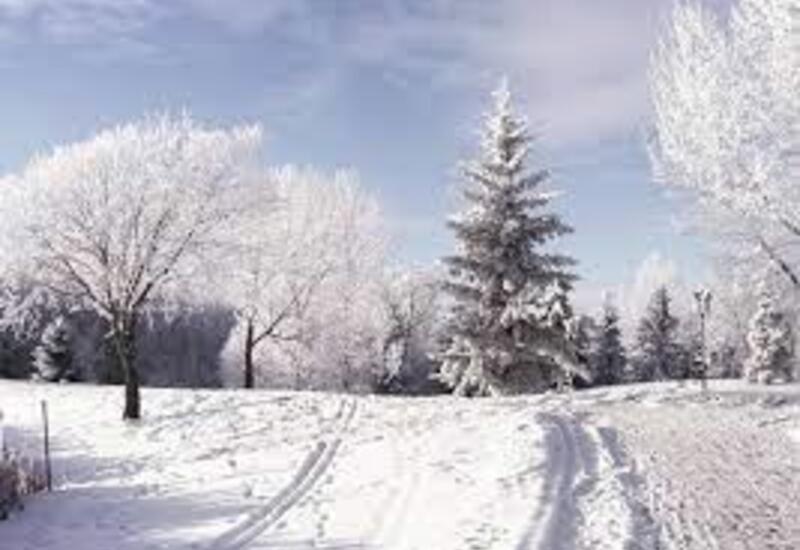 В Гахе выпал снег